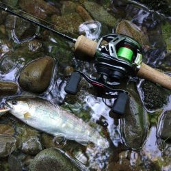 １匹目が川サバ ～長良川水系～